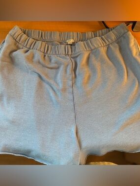 aerie Light Blue Elastic Waist Athletic Shorts
